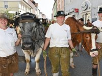 250810 Wolnzach Festzug Teil 1 Foto Alfred Raths  (13)