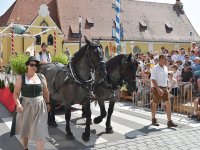 250810 Wolnzach Festzug Teil 1 Foto Alfred Raths  (24)