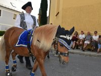 250810 Wolnzach Festzug Teil 1 Foto Alfred Raths  (33)