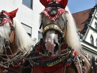 250810 Wolnzach Festzug Teil 1 Foto Alfred Raths  (37)