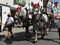 250810 Wolnzach Festzug Teil 1 Foto Alfred Raths  (108)