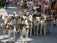 250810 Wolnzach Festzug Teil 1 Foto Alfred Raths  (84)