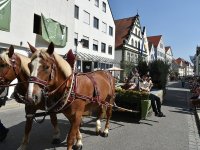 250810 Wolnzach Festzug Teil 1 Foto Alfred Raths  (86)