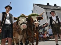 250810 Wolnzach Festzug Teil 1 Foto Alfred Raths  (91)