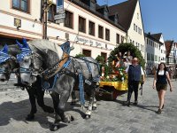 250810 Wolnzach Festzug Teil 1 Foto Alfred Raths  (130)
