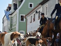 250810 Wolnzach Festzug Teil 2 Foto Alfred Raths  (10)