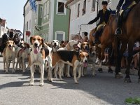 250810 Wolnzach Festzug Teil 2 Foto Alfred Raths  (40)