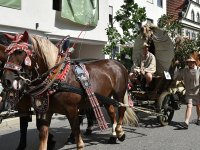 250810 Wolnzach Festzug Teil 2 Foto Alfred Raths  (42)