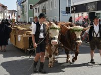 250810 Wolnzach Festzug Teil 2 Foto Alfred Raths  (43)