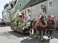 250810 Wolnzach Festzug Teil 2 Foto Alfred Raths  (8)
