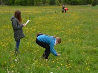 reduziertBienenprojekt Foto C by Alfred Raths (1)841x561