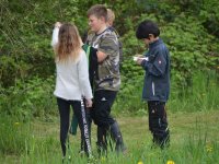 reduziertBienenprojekt Foto C by Alfred Raths (10)841x561