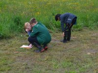 reduziertBienenprojekt Foto C by Alfred Raths (19)841x561