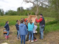 reduziertBienenprojekt Teil 3 Foto C by Alfred Raths  (14)841x561