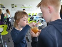 reduziertBienenprojekt Teil 3 Foto C by Alfred Raths  (23)841x561