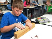 reduziertBienenprojekt Teil 3 Foto C by Alfred Raths  (4)841x561