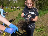 reduziertTeil 2 Bienenprojekt Foto C by Alfred Raths  (10)841x561