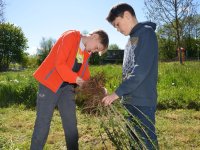 reduziertTeil 2 Bienenprojekt Foto C by Alfred Raths  (18)841x561