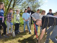 reduziertTeil 2 Bienenprojekt Foto C by Alfred Raths  (21)841x561