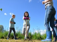 reduziertTeil 2 Bienenprojekt Foto C by Alfred Raths  (28)841x561