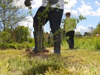 reduziertTeil 2 Bienenprojekt Foto C by Alfred Raths  (31)841x561