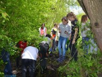 reduziertTeil 2 Bienenprojekt Foto C by Alfred Raths  (35)841x561