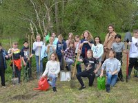 reduziertTeil 2 Bienenprojekt Foto C by Alfred Raths  (46)841x561