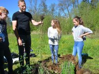 reduziertTeil 2 Bienenprojekt Foto C by Alfred Raths  (6)841x561