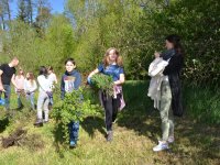 reduziertTeil 2 Bienenprojekt Foto C by Alfred Raths  (7)841x561