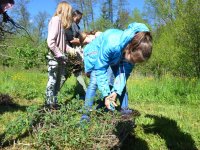 reduziertTeil 2 Bienenprojekt Foto C by Alfred Raths  (9)841x561