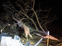 2023-01-16_Vifogra_ID5135_Unfall_ST2045_bei_Aresing_37