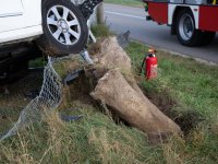 211015_vifogra_Unfall_Waidhofen_10