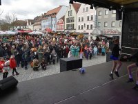 260217 Paf Fasching Doto Alfred Raths (12)