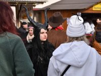 260217 Paf Fasching Doto Alfred Raths (17)
