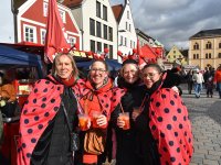 260217 Paf Fasching Doto Alfred Raths (18)