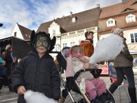 260217 Paf Fasching Doto Alfred Raths (23)