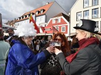 260217 Paf Fasching Doto Alfred Raths (25)