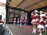 260217 Paf Fasching Doto Alfred Raths (30)