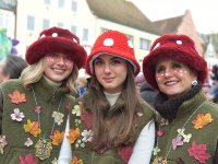 260217 Paf Fasching Doto Alfred Raths (32)