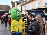 260217 Paf Fasching Doto Alfred Raths (43)