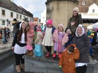 260217 Paf Fasching Doto Alfred Raths (47)