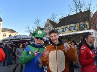 260217 Paf Fasching Doto Alfred Raths (97)