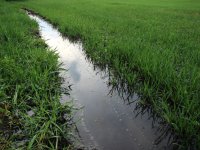 20180416_Gulleunfall_Mainburg_5