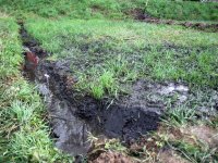 20180416_Gulleunfall_Mainburg_7