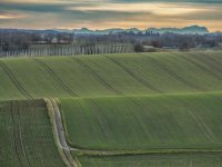 06Johann Freund - Alpenblick
