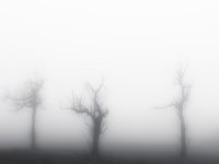 08Constanze Pappert -  Ghosts