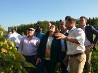 3 Nahles Sept 2018 Foto Alfred Raths  (78)