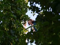 7 Nahles Sept 2018 Foto Alfred Raths  (126)