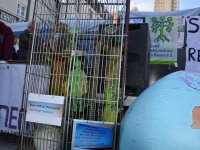  190920 FridayfF    Foto Raths  (33)