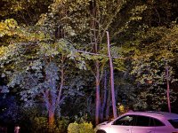 491952260_1077406397750698_6604833534452521284_n